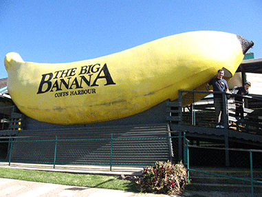 big banana02